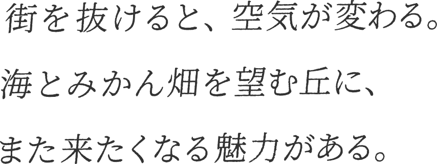 街を抜けると、空気が変わる。海とみかん畑を望む丘に、また来たくなる魅力がある。